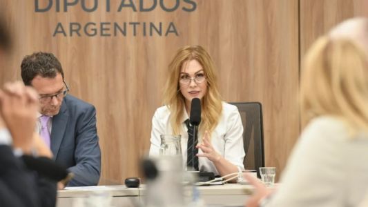 Lilia Lemoine asumió en la comisión de Juicio Político y tildó a la oposición dura de “destituyente”