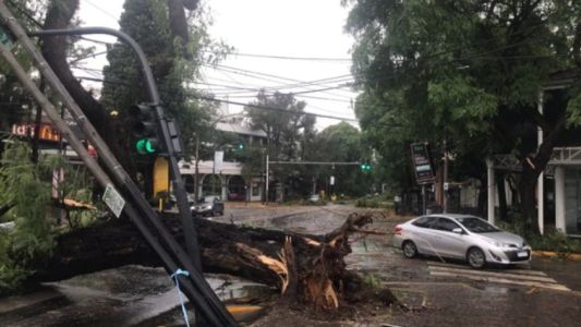 Fuerte temporal en el AMBA: inundaciones, destrozos y miles de usuarios sin luz