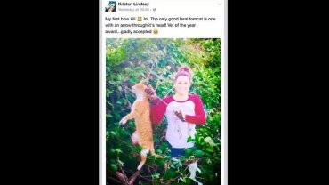 Veterinaria mató a un gato de un flechazo y publicó la foto en Facebook
