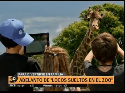 Un adelanto de "Locos en el Zoo"