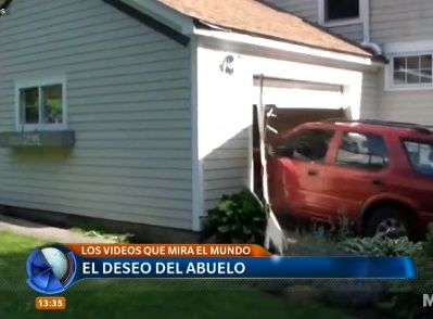 Los videos que mira el mundo: animales frente al espejo, abuelo chocador y más