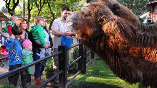 Estas son las fechas de las vacaciones de invierno en la ciudad y el país