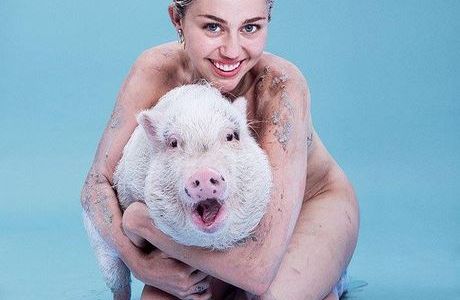Miley Cyrus se desnuda: "Estoy abierta a cualquier cosa"