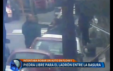 El ladrón que se esconde en la basura