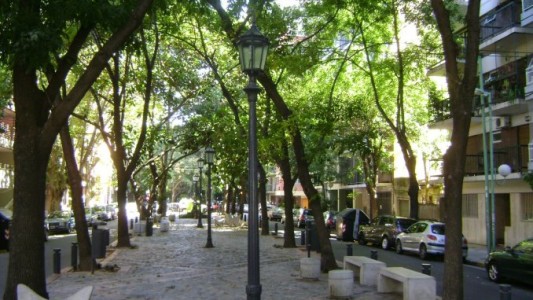 Alarma en Las Cañitas por aparición de perros envenenados