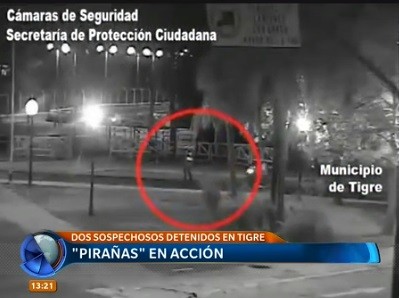 Video: así actúan "pirañas" en Tigre