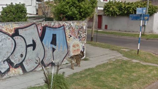 Le robaron el auto y le destrozaron las piernas a balazos