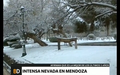 Intensa nevada en Mendoza