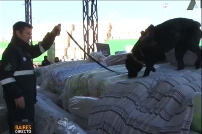 Decomisaron 170 toneladas de telas