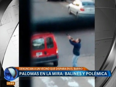 Palomas en la mira: balines y polémica