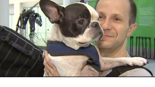 Un piloto desvió su vuelo para salvarle la vida a un perro