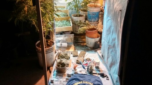 Tandil: Cae banda narco que vendía marihuana en escuelas