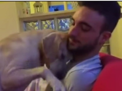 #EsViral el perro que pide perdón por su travesura