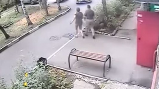 Rusia: una banda de "robapapas" se lleva un escarmiento