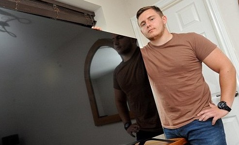 Una mosca le rompió la TV y se niegan a repararla por ser un "acto de Dios"