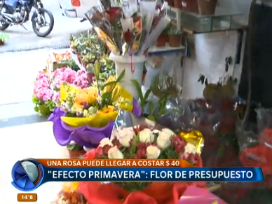 Primavera y el fin de las flores