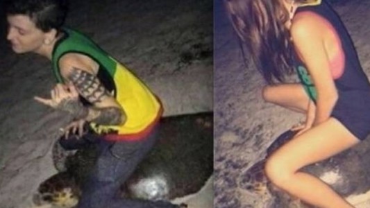 Montó una tortuga marina, publicó la foto en Facebook y fue detenida