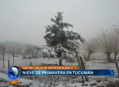 Nieve de primavera en Tucumán