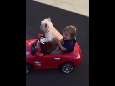 #EsViral Conduciendo a Oliver