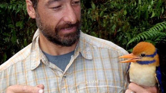 Halló una especie de ave dada por extinguida, la mató y desató una polémica global