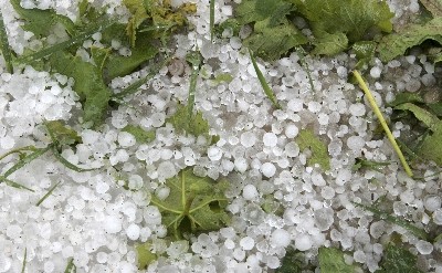 Mendoza también sufrió el granizo