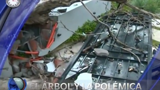 Minuto RSS: la información del día, en un minuto