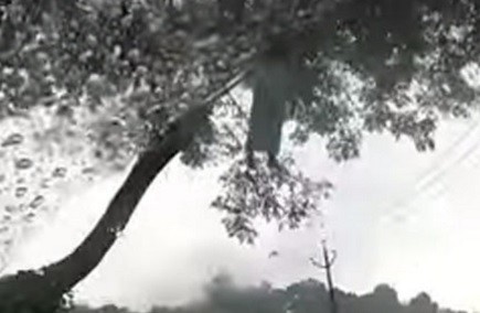 Video: aseguran que filmaron un fantasma en una ruta de Estados Unidos