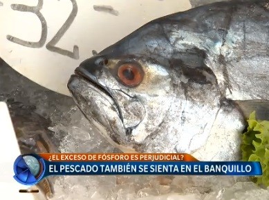 El pescado también se sienta en el banquillo
