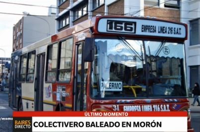 Paro de colectivos 166, 236, 269, 395, 441, 504 y 634 por agresión a un chofer