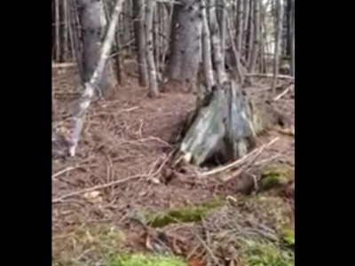 #EsViral El video de la tierra que respira