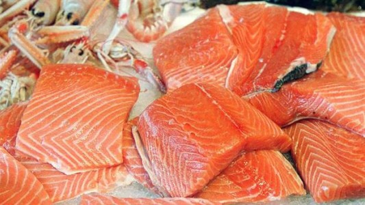 Aprobaron al salmón como el primer animal transgénico para consumo humano