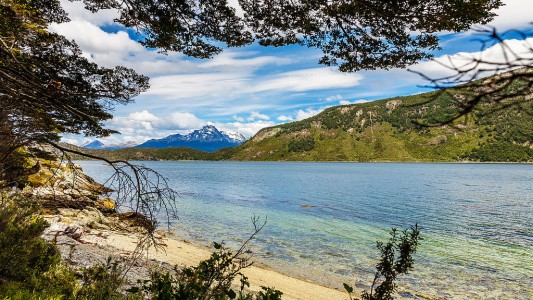 A juicio tres hombres que talaron 200 árboles en el Parque Nacional de Tierra del Fuego