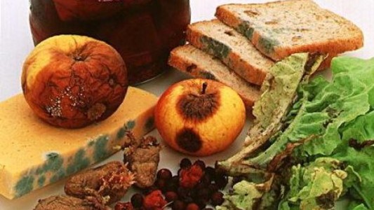 Cada 75 segundos muere una persona en el mundo por alimentos contaminados