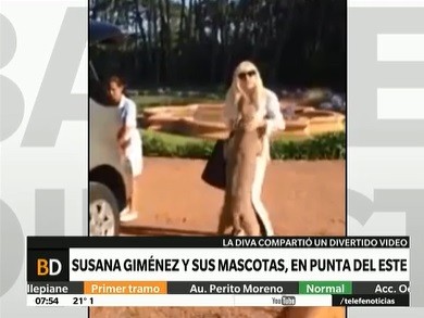 La recepción de sus mascotas a Susana Giménez