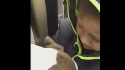 #EsViral: El emocionante reencuentro de un niño con su perro después de estar un mes perdido