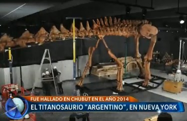 El titanosaurio "argentino", en Nueva York