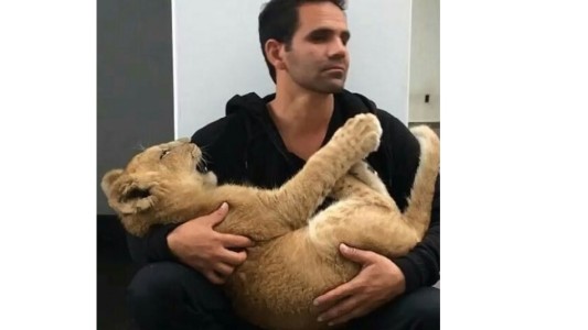 El tierno abrazo de un hombre y un león que conquista internet