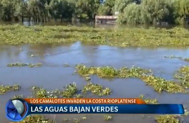 Las aguas bajan verdes