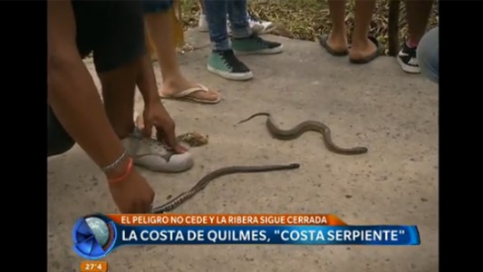La costa de Quilmes, costa de serpientes