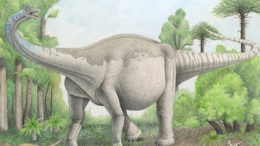 Descubren en Mendoza a uno de los dinosaurios más grandes del mundo