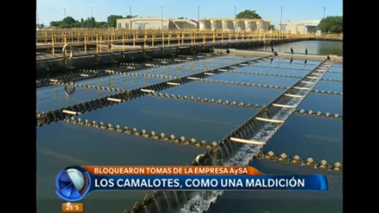 Los camalotes, como una maldición