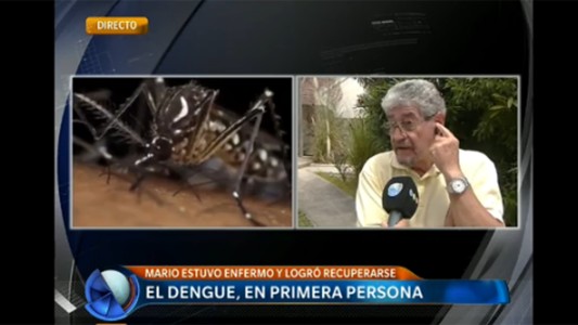 El dengue, en primera persona
