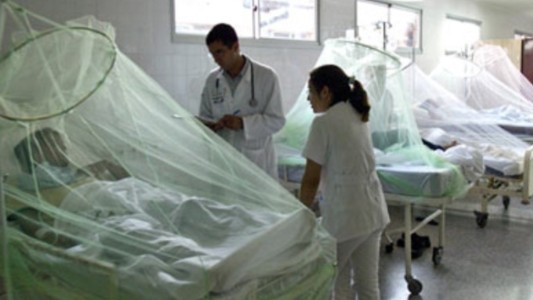 54 casos confirmados de dengue en la provincia y 44 los sospechosos de chikungunya