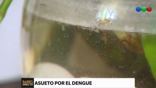 Dengue: decretaron asueto en Misiones