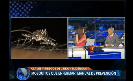 Mosquitos que enferman: manual de prevención
