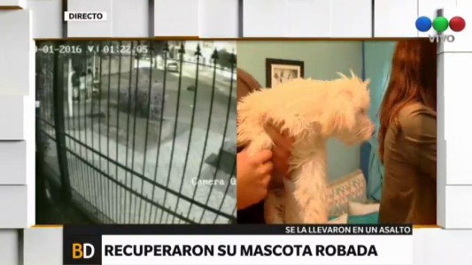 Les desvalijaron la casa y se llevaron hasta la mascota