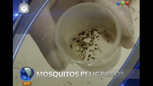 Minuto RSS: todas las noticias, en 60 segundos (7)