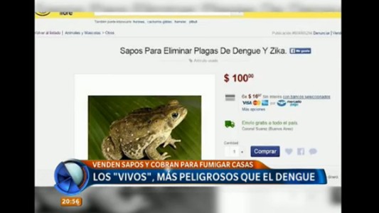 Los "vivos", más peligrosos que el dengue