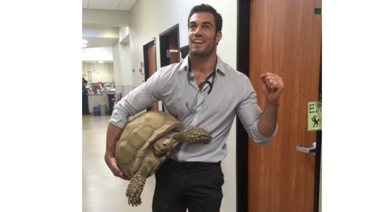 Encontramos al veterinario más sexy de internet