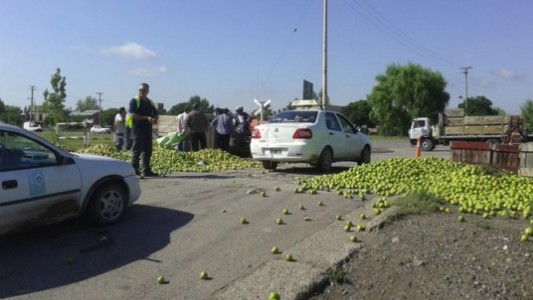 Productores de Río Negro tiran a la calle 100 mil kilos de peras de exportación
